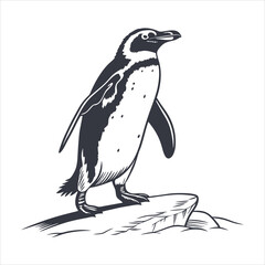 silhouette penguin on white background