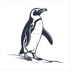 silhouette penguin on white background