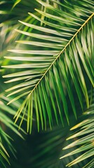 Obraz premium Soft light morning yoga under swaying palm trees, tropical relaxation vibes