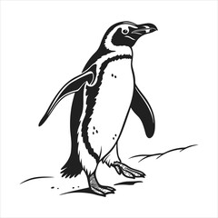 silhouette penguin on white background