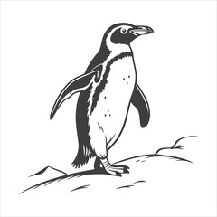 silhouette penguin on white background