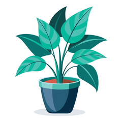 indoor plant on white background