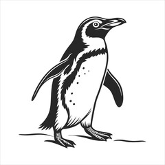 Naklejka premium silhouette penguin on white background