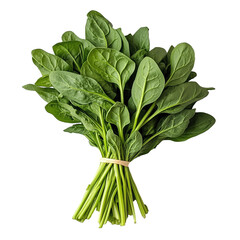 Fresh spinach harvest in a local market organic vegetables natural setting close-up view healthy eating concept