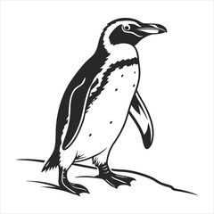 Obraz premium silhouette penguin on white background