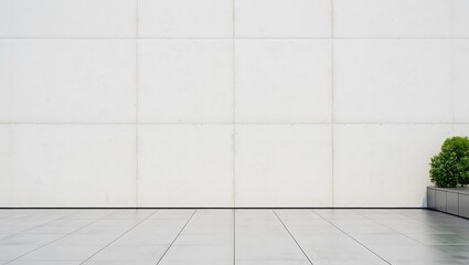 Modern Minimalist White Wall and Floor Background Texture