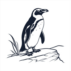 silhouette penguin on white background