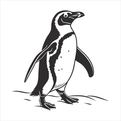 silhouette penguin on white background