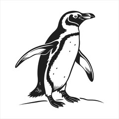 silhouette penguin on white background