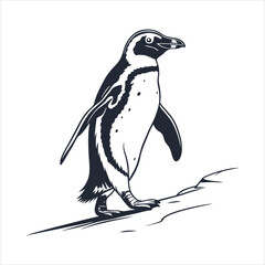 silhouette penguin on white background