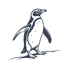 silhouette penguin on white background