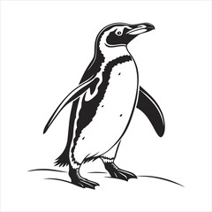 silhouette penguin on white background