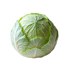 Close-up of a fresh head of cabbage.