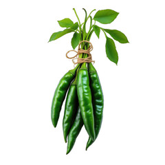 Tied bunch of vibrant green chili peppers.