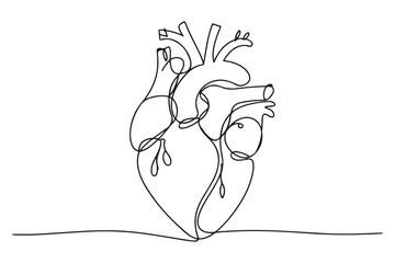 Continuous line heart drawing simple hand drawn art
