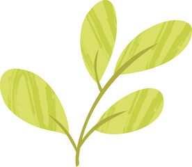 Lemon Leaves – Green Botanical Flat Vector Illustration - Healthy Vegan Lemonade