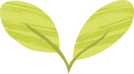 Lemon Leaves – Green Botanical Flat Vector Illustration - Healthy Vegan Lemonade