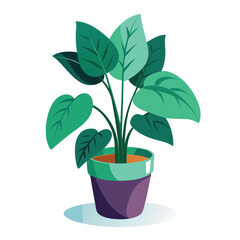 indoor plant on white background