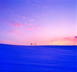 丘の木と夕焼け（美瑛町）