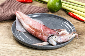 Raw fresh squid for cooking