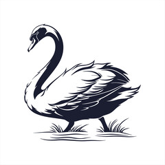 silhouette swan on white background