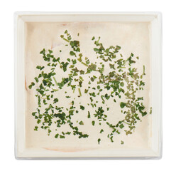 Butter Cheese Parsley Topping cut out isolated transparent background