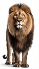 Fototapeta premium Majestic Lion Portrait, Powerful Lion, King of the Jungle, Wildlife Photography, Animal Portrait