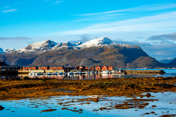 Fototapety na wymiar - Fototapeta24.pl