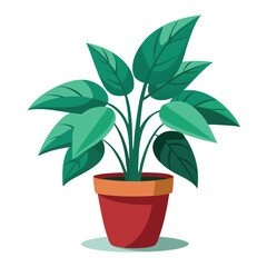 indoor plant on white background