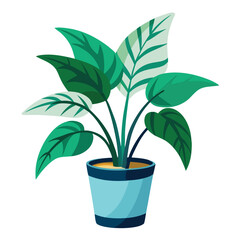 indoor plant on white background