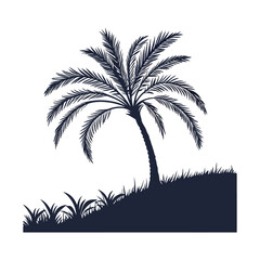 silhouette palm tree on white background