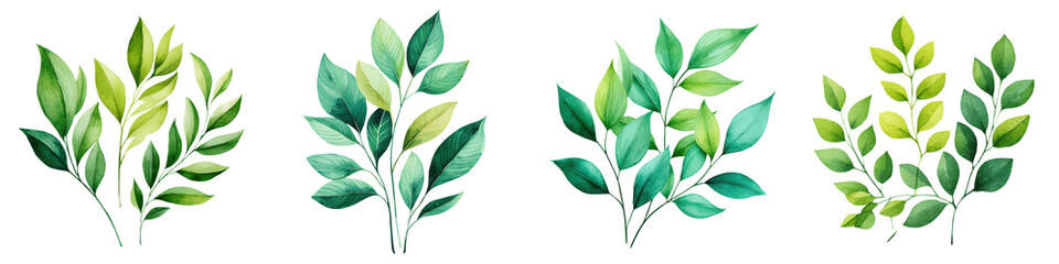 Naklejka premium Lush green foliage with vibrant leaves