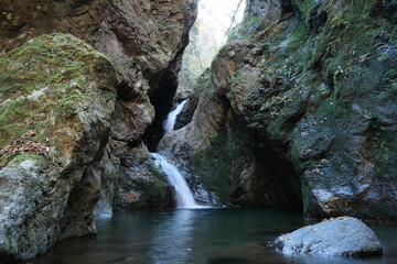 紅葉と岩稜帯の滝
a waterfall and autumn leaves at Tokyo 