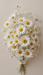 Daisies and Baby's Breath in a tied bunch against a minimalist backdrop showcase springtime beauty and simple floral arrangements
