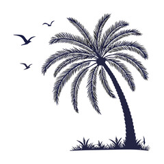 Obraz premium silhouette palm tree on white background