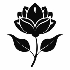 black and white rose