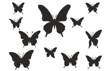 Flying butterflies silhouette black set isolated on white background.