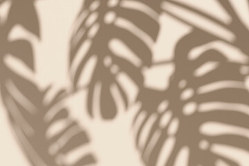 Soft shadow of monstera leaves on a beige background. Minimal tropical aesthetic for natural...