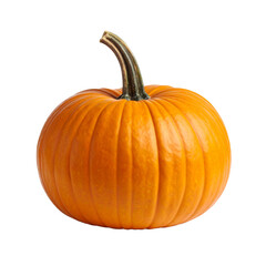 Obraz premium Pumpkin fruit isolated on transparent background