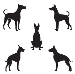 A dog with a white background that says quot dog quot