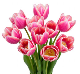 Tulip Bouquet, Spring Flowers on Transparent background. Tulips with lush green leaves arranged in a vibrant display for decoration. Greeting and good wishes on social media.
