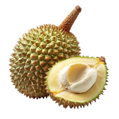 Obraz premium Durian fruit with spiky shell and creamy flesh shown on a Transparent background, Durian isolated on PNG background
