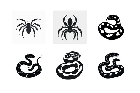 Six black and white illustrations of spiders and snakes