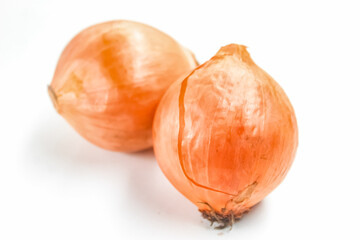 onion isolated on white background