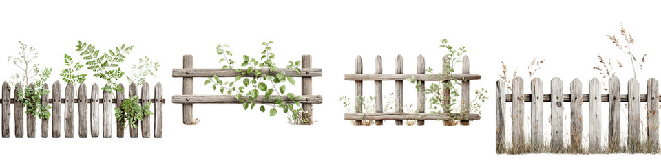 Obraz premium Rustic wooden fence with lush foliage and greenery