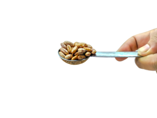 A handful of raw rajma (kidney beans) is carefully cradled within the bowl of a silver spoon, held gently in a human hand.