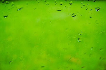 Abstraktes Motiv mit Regentropfenmuster vor grünem Weizenfeld bei Wind und Regen am Nachmittag im...