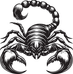 Black and White Scorpion Vector Illustration – Aggressive Insect Tattoo Design