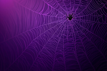 Obraz premium Purple spiderweb and spider illustration