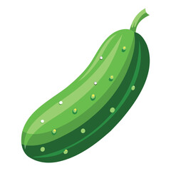 Fresh Green Cucumber Vegetable Vector Illustration